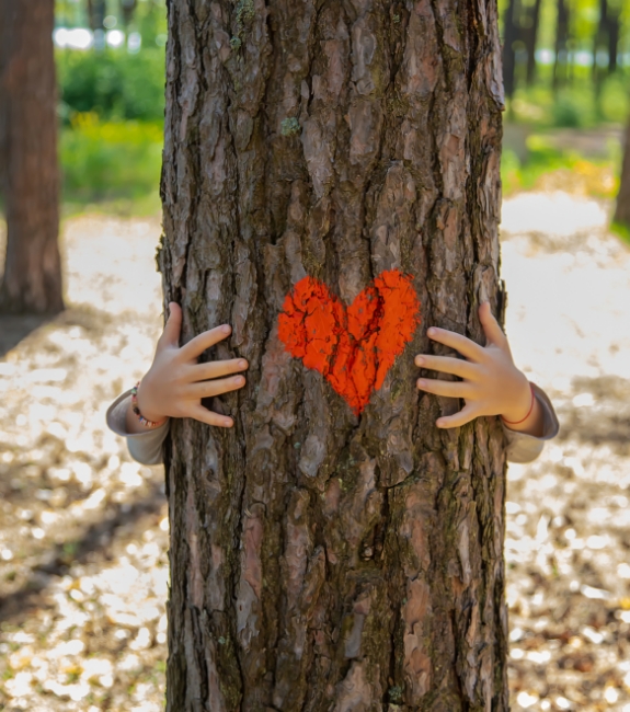 menuiserie vouriot visuels enfant embrasse arbre 23